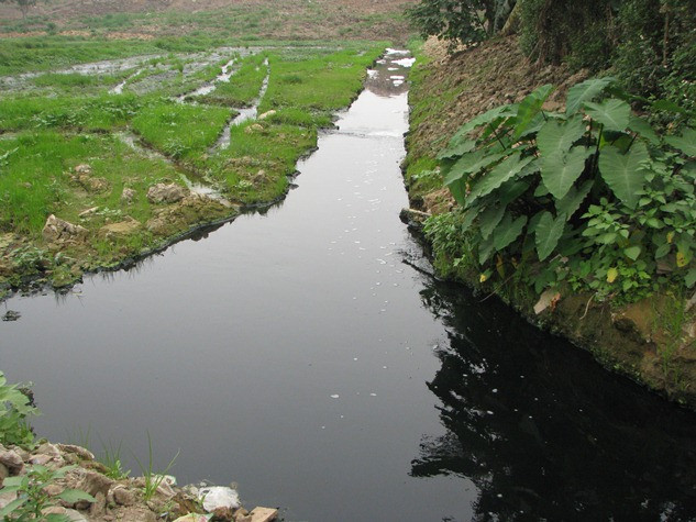 Do nguồn ô nhiễm nặng dẫn đến hoa màu của người dân xã Triều Khúc luôn trong tình trạng “ bỏ hoang”. Do nguồn ô nhiễm nặng dẫn đến hoa màu của người dân xã Triều Khúc luôn trong tình trạng “ bỏ hoang”.