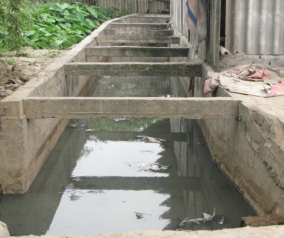 Kênh, mương.. được chạy dài để chứa nước ô nhiễm nhưng cũng không “ xuể”. Kênh, mương.. được chạy dài để chứa nước ô nhiễm nhưng cũng không “ xuể”.