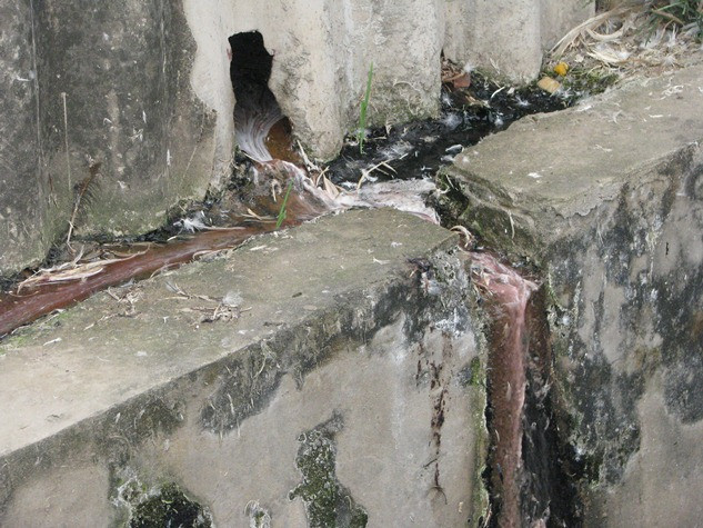 Cận cảnh khu xả nước thải của những hộ dân kinh doanh, buôn bán gia súc, gia cầm.. Cận cảnh khu xả nước thải của những hộ dân kinh doanh, buôn bán gia súc, gia cầm..