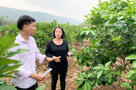Cán bộ Phòng Nông nghiệp và Phát triển nông thôn huyện Thuận Châu hướng dẫn người dân xã Chiềng Pha chăm sóc cây ăn quả. Ảnh: Báo Sơn La.