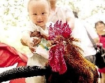 Cửu Cân là bạn thân của Trình Trình Cửu Cân là bạn thân của Trình Trình