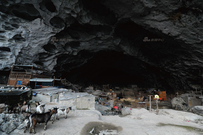 18 hộ gia đình với hơn 80 nhân khẩu cùng dê lợn, vật nuôi quần cư trong hang