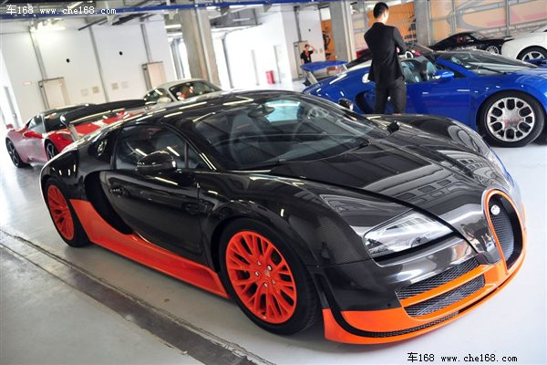 Màu sắc đa dạng Màu sắc đa dạng