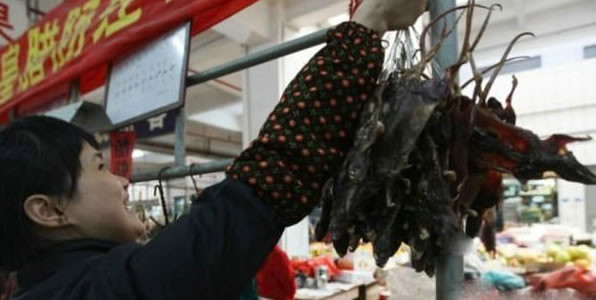 Khô chuột đồng vào cửa hàng, ra chợ phục vụ nhu cầu ẩm thực của người dân địa phương