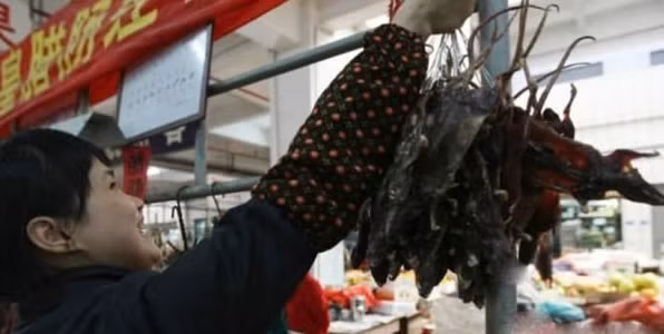 Khô chuột đồng vào cửa hàng, ra chợ phục vụ nhu cầu ẩm thực của người dân địa phương