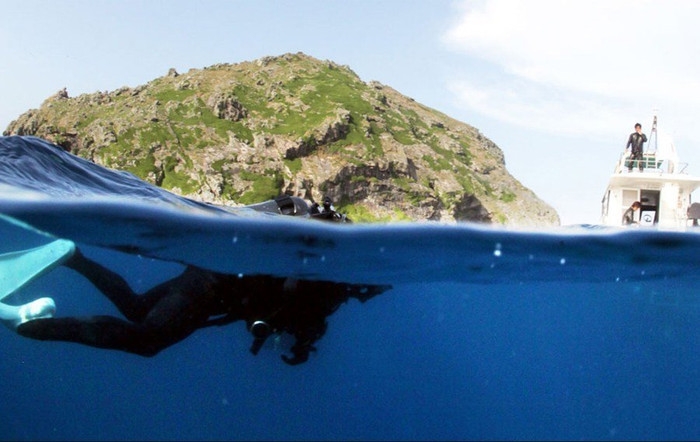 Bơi lội khảo sát đảo Senkaku