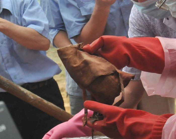 Túi vải chôn theo Ninh vương hậu vẫn còn nguyên vẹn Túi vải chôn theo Ninh vương hậu vẫn còn nguyên vẹn