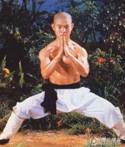 Lý Liên Kiệt đã hóa thân vào các nhân vật anh hùng võ lâm Trung Quốc rất đạt, nhắc đến tên họ người ta hình dung ra ngay khuôn mặt của Lý Liên Kiệt