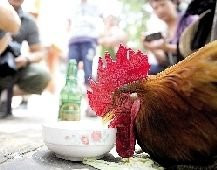 Lúc gặp phóng viên, không hiểu sao Cửu Cân chỉ thích uống bia, lắc đầu từ chối hút thuốc Lúc gặp phóng viên, không hiểu sao Cửu Cân chỉ thích uống bia, lắc đầu từ chối hút thuốc