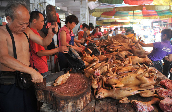 Quang cảnh chợ đầu mối thịt chó vẫn tấp nập như thường, dường như không bị ảnh hưởng bởi hoạt động của các nhà bảo vệ động vật Quang cảnh chợ đầu mối thịt chó vẫn tấp nập như thường, dường như không bị ảnh hưởng bởi hoạt động của các nhà bảo vệ động vật