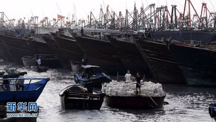 Tàu cá Trung Quốc cập bờ tránh bão (hình minh họa)