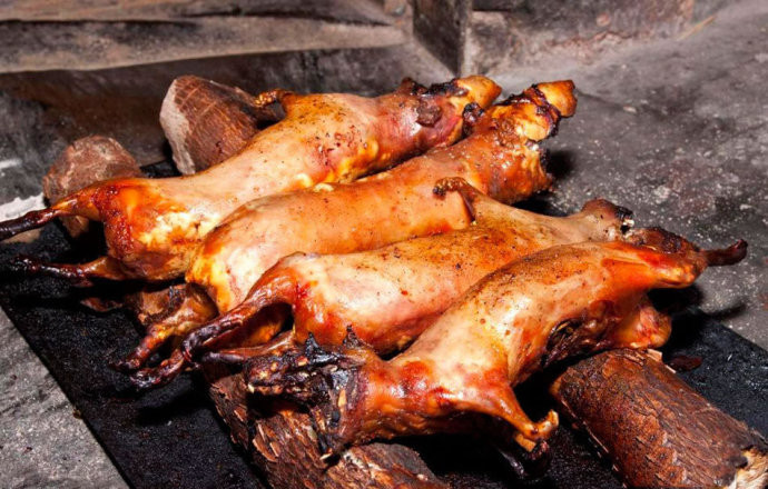 Những con chuột béo mập sau khi tẩm ướp được nướng trên than hoa là món nhậu khoái khẩu của người Peru Những con chuột béo mập sau khi tẩm ướp được nướng trên than hoa là món nhậu khoái khẩu của người Peru