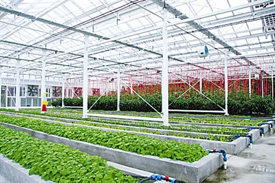 Bắc Kinh đầu tư cả hệ thống nhà kính trồng rau xanh phục vụ nhu cầu cho lực lượng hải quân chiếm đóng và đồn trú trái phép ở Trường Sa Bắc Kinh đầu tư cả hệ thống nhà kính trồng rau xanh phục vụ nhu cầu cho lực lượng hải quân chiếm đóng và đồn trú trái phép ở Trường Sa