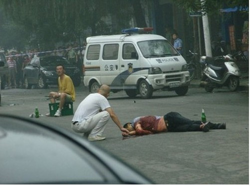 Bàng quan trước sinh mệnh đồng loại Bàng quan trước sinh mệnh đồng loại