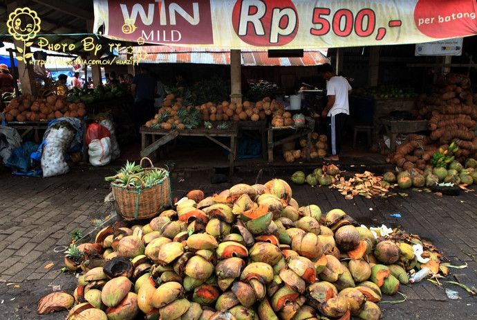 Xứ sở của dừa Xứ sở của dừa