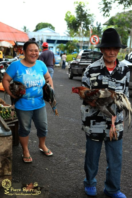 Mua bán gà Mua bán gà