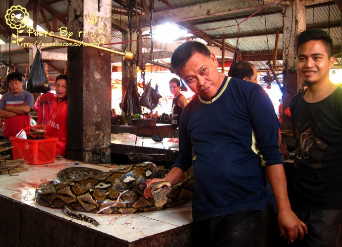 Người ta sẽ làm thịt chú trăn này để bán? Người ta sẽ làm thịt chú trăn này để bán?
