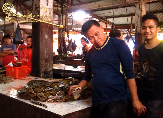 Người ta sẽ làm thịt chú trăn này để bán?