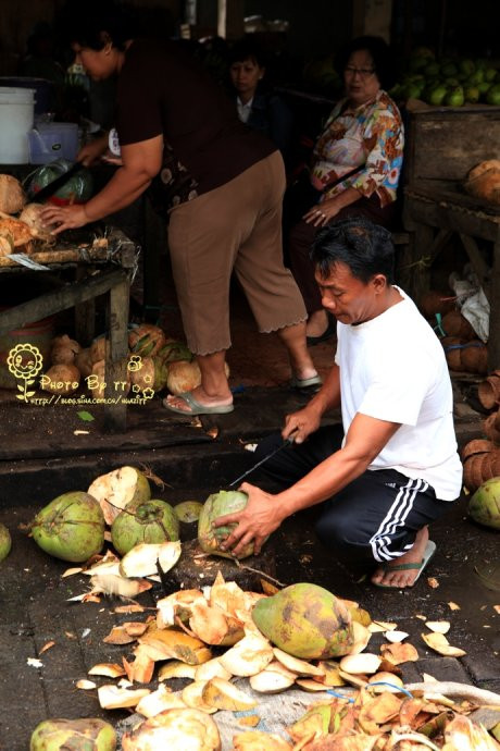 Trên đất nước vạn đảo này đâu đâu cũng có thể bắt gặp những trái dừa Trên đất nước vạn đảo này đâu đâu cũng có thể bắt gặp những trái dừa