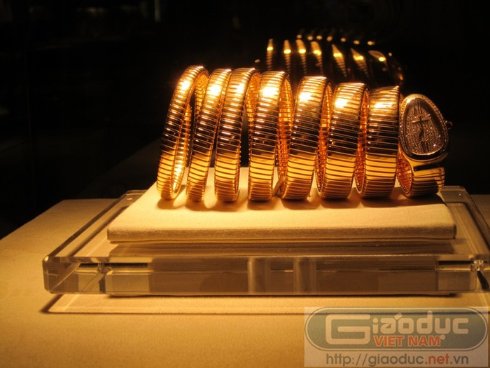 Mặt trước của "con rắn" bạc tỷ.... Mặt trước của "con rắn" bạc tỷ....