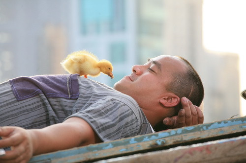 Anh Hiều bán chong chóng của Hiếu Hiền trong phim Bỗng dưng muốn khóc đã mang đến cho khán giả nhiều tiếng cười thoải mái... >> Nhìn lại đường tình duyên Tăng Thanh Hà trước khi kết hôn Anh Hiều bán chong chóng của Hiếu Hiền trong phim Bỗng dưng muốn khóc đã mang đến cho khán giả nhiều tiếng cười thoải mái... >> Nhìn lại đường tình duyên Tăng Thanh Hà trước khi kết hôn