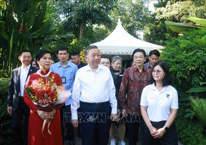 Tổng Bí thư Tô Lâm và Phu nhân cùng Thủ tướng Singapore Lawrence Wong tham quan Vườn Thực vật quốc gia Singapore. Ảnh: Thống Nhất/TTXVN dat-ten-hoa-5.jpg