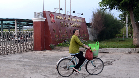 Công ty cổ phần thuộc Da Hào Dương nằm trong Khu công nghiệp Hiệp Phước, Nhà Bè, TP.HCM - Ảnh: T.T.D.