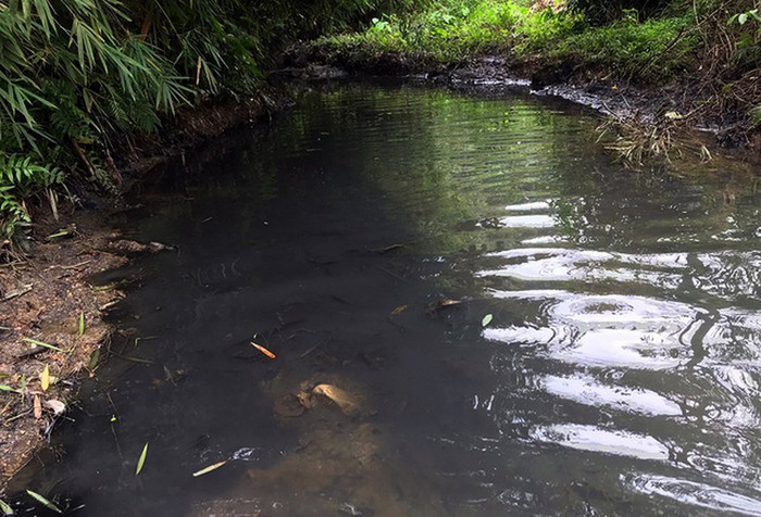 Bơm nước nhiễm dầu thải cho dân, Viwasupco phải chịu trách nhiệm chính Bơm nước nhiễm dầu thải cho dân, Viwasupco phải chịu trách nhiệm chính