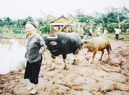 Người nghệ sĩ đam mê đóng phim Người nghệ sĩ đam mê đóng phim