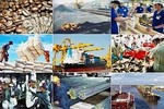 Cập nhật các kịch bản tăng trưởng, đối sách ứng phó dịch bệnh Covid-19 Cập nhật các kịch bản tăng trưởng, đối sách ứng phó dịch bệnh Covid-19