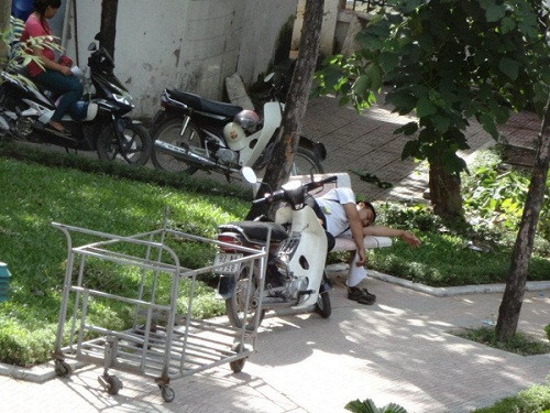 Mệt mỏi vì thức đêm lo cho con, chờ đợi cả ngày thi đầu tiên, sáng hôm sau phụ huynh này đã thiếp đi trên ghế đá của vườn hoa. ĐÁP ÁN TIẾNG ANH KHỐI A1, D1 HỆ CAO ĐẲNG 2012 - ĐÁP ÁN MÔN VĂN KHỐI C, D HỆ CAO ĐẲNG 2012 - ĐÁP ÁN MÔN SINH KHỐI B HỆ CAO ĐẲNG 2012 - ĐÁP ÁN MÔN VẬT LÝ KHỐI A, A1 HỆ CAO ĐẲNG 2012 - ĐÁP ÁN MÔN LỊCH SỬ KHỐI C HỆ CAO ĐẲNG 2012 - ĐÁP ÁN MÔN LỊCH SỬ KHỐI C HỆ CAO ĐẲNG 2012