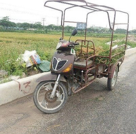 Xe tay ga SH không chỉ dành cho giới thượng lưu. Xe tay ga SH không chỉ dành cho giới thượng lưu.