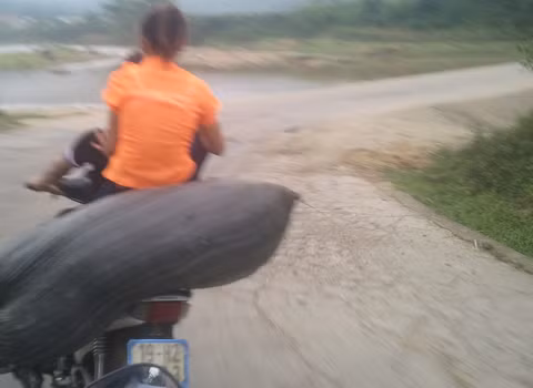 Chụp tại xã Võ Miếu, huyện Thanh Sơn, tỉnh Phú Thọ. Ảnh: Bùi Thanh Hải.