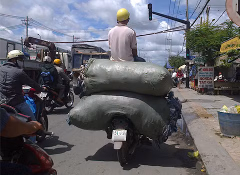 Ngồi chênh vênh trên cao. Ảnh: Phan Thị Thu Thủy.