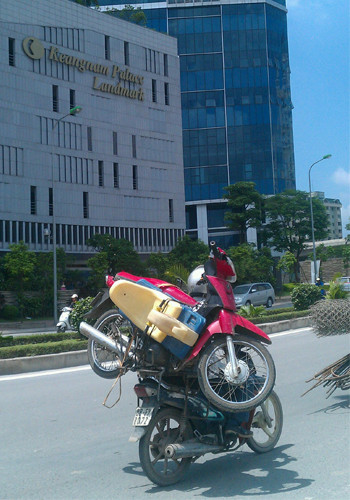 Ảnh: Phạm Văn Hiếu. Ảnh: Phạm Văn Hiếu.