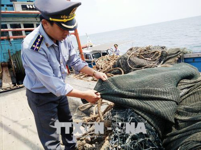 Ảnh minh họa: TTXVN