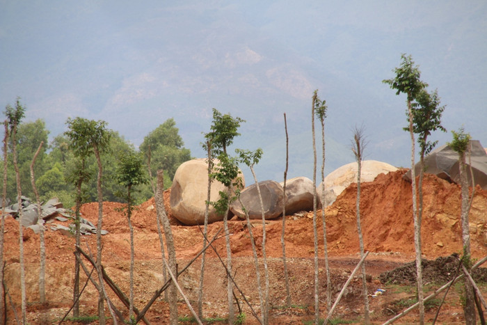 Nhiều tảng đá lớn trong "trang trại kiểu mẫu" của đại gia Ngọc Anh nằm ngổn ngang, xen kẽ giữa một số cây xanh. Ảnh Thùy Linh