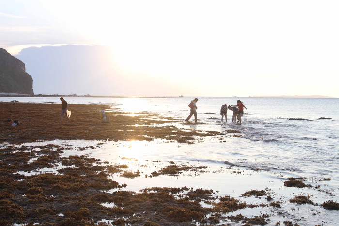 Khách du lịch trên đảo Lý Sơn lúc chiều xuống. Ảnh Thùy Linh Khách du lịch trên đảo Lý Sơn lúc chiều xuống. Ảnh Thùy Linh