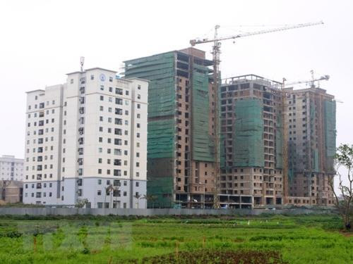 Ảnh minh họa: TTXVN Ảnh minh họa: TTXVN