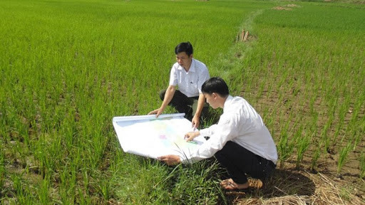 Kéo dài thời gian hoàn thành kiểm kê đất đai năm 2019. Ảnh: Hà Nội mới Kéo dài thời gian hoàn thành kiểm kê đất đai năm 2019. Ảnh: Hà Nội mới