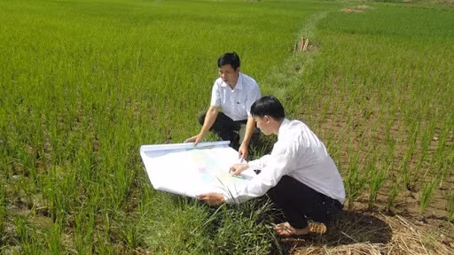 Kéo dài thời gian hoàn thành kiểm kê đất đai năm 2019. Ảnh: Hà Nội mới