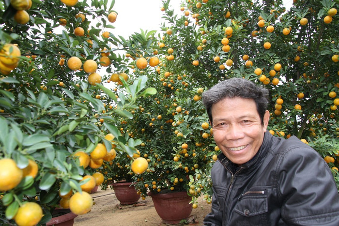 "Trừ mọi chi phí thì tôi bán 800 chậu quất cảnh lãi được hơn 200 triệu đồng...", ông Lê Viết Kỷ vui vẻ cho biết. "Trừ mọi chi phí thì tôi bán 800 chậu quất cảnh lãi được hơn 200 triệu đồng...", ông Lê Viết Kỷ vui vẻ cho biết.