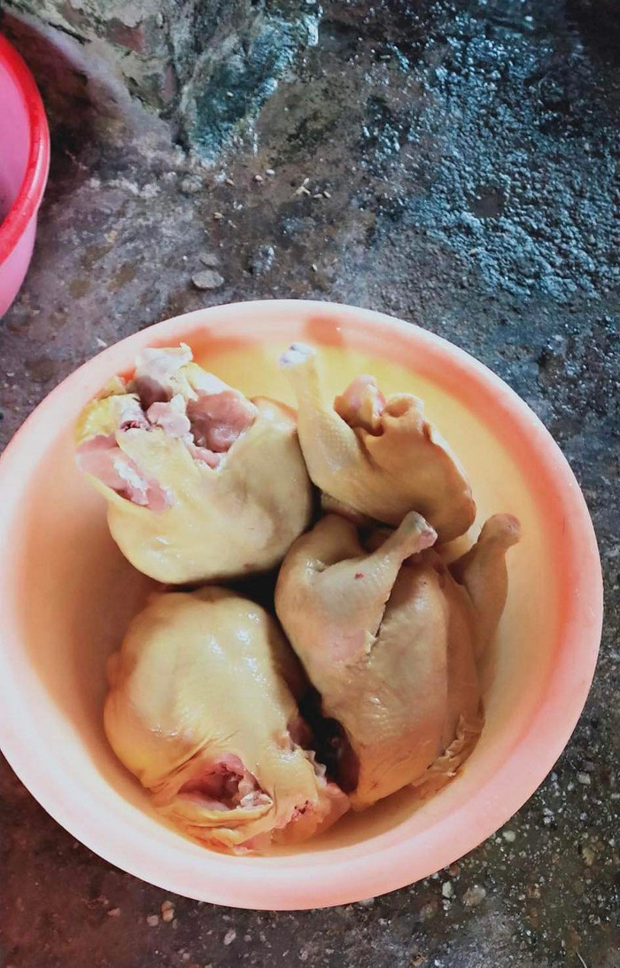 Những con gà mà phụ huynh trường Mầm non Hà Lang phát hiện ngày 26/12. Ảnh: Phụ huynh cung cấp Những con gà mà phụ huynh trường Mầm non Hà Lang phát hiện ngày 26/12. Ảnh: Phụ huynh cung cấp