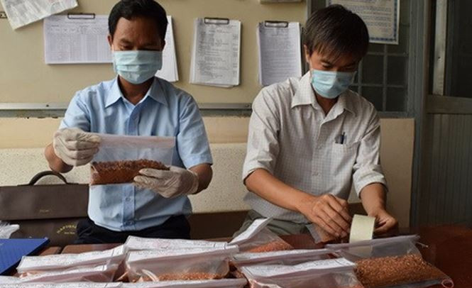 Kiểm tra tại một cơ sở kinh doanh ớt bột.