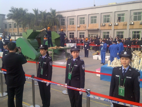 Tiêu hủy ngà voi là động thái chính trị của Bắc Kinh nhằm "lấy le" với cộng đồng quốc tế? Tiêu hủy ngà voi là động thái chính trị của Bắc Kinh nhằm "lấy le" với cộng đồng quốc tế?