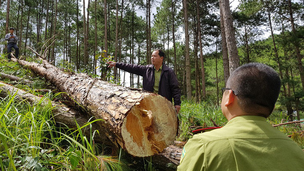 Ảnh minh họa: VTV.vn Ảnh minh họa: VTV.vn