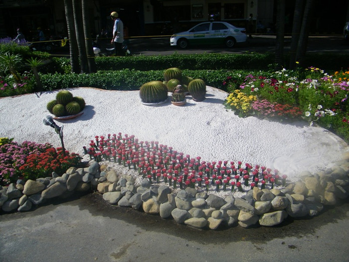 Những chậu xương rồng nằm trên nền cát trắng mịn màng. Những chậu xương rồng nằm trên nền cát trắng mịn màng.