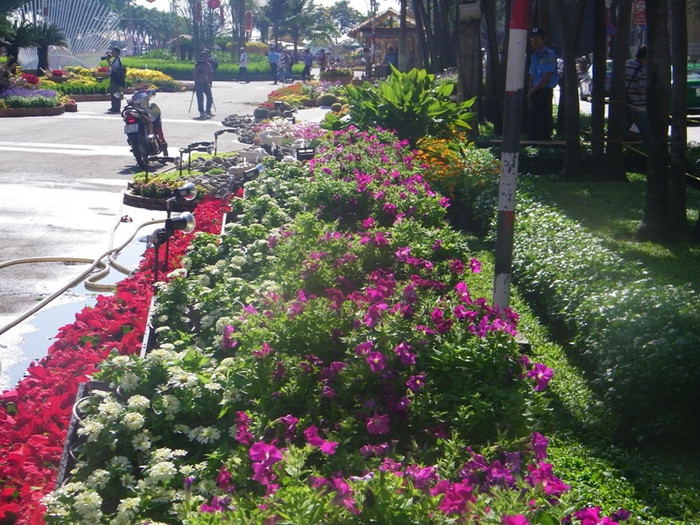 Con đường dài đủ các loại hoa, đủ màu sắc, lộng lẫy khoe sắc. Con đường dài đủ các loại hoa, đủ màu sắc, lộng lẫy khoe sắc.