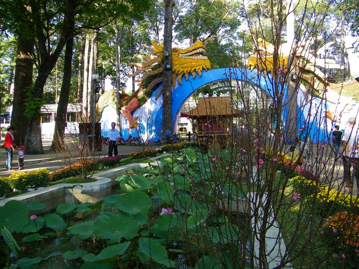 Hoa đào, hoa sen tại Hội hoa xuân.