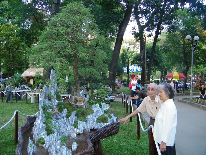 Vợ chồng nhạc sĩ Phan Huỳnh Điểu thích thú trước gốc bonsai, được tạo cảnh non nước hữu tình.